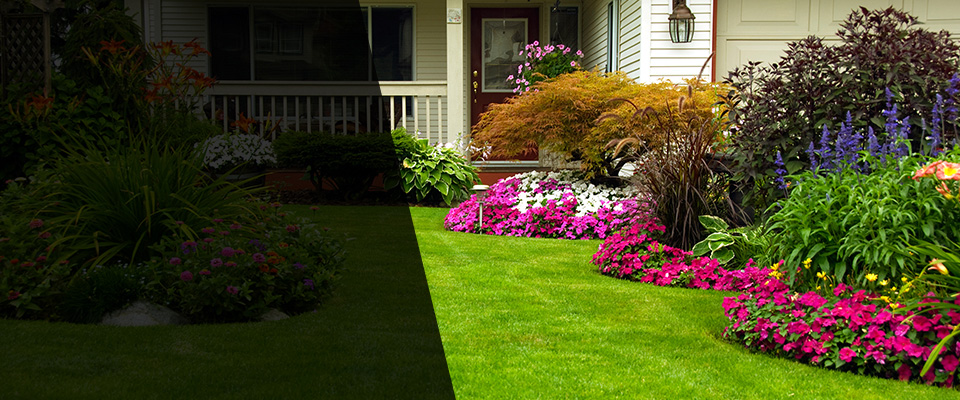 Solebury Landscapers