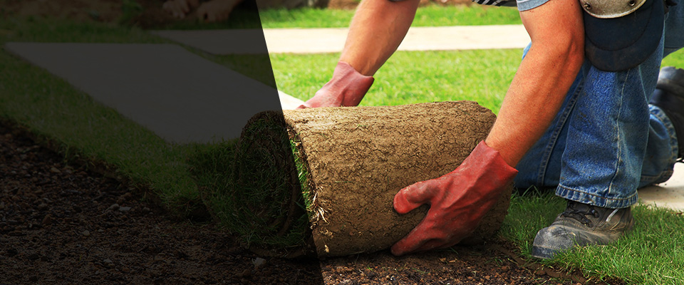 Solebury Landscapers